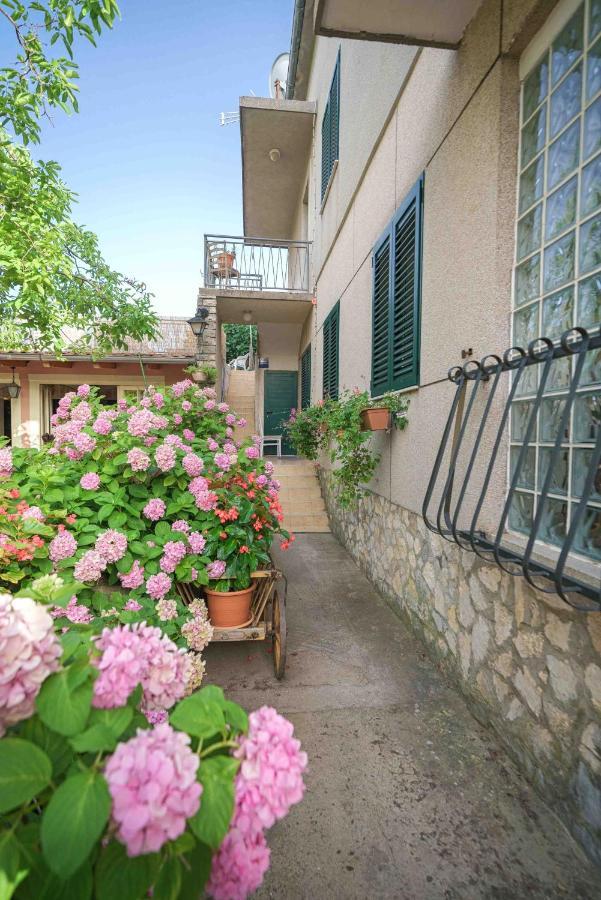 Apartments Micin فوديس المظهر الخارجي الصورة